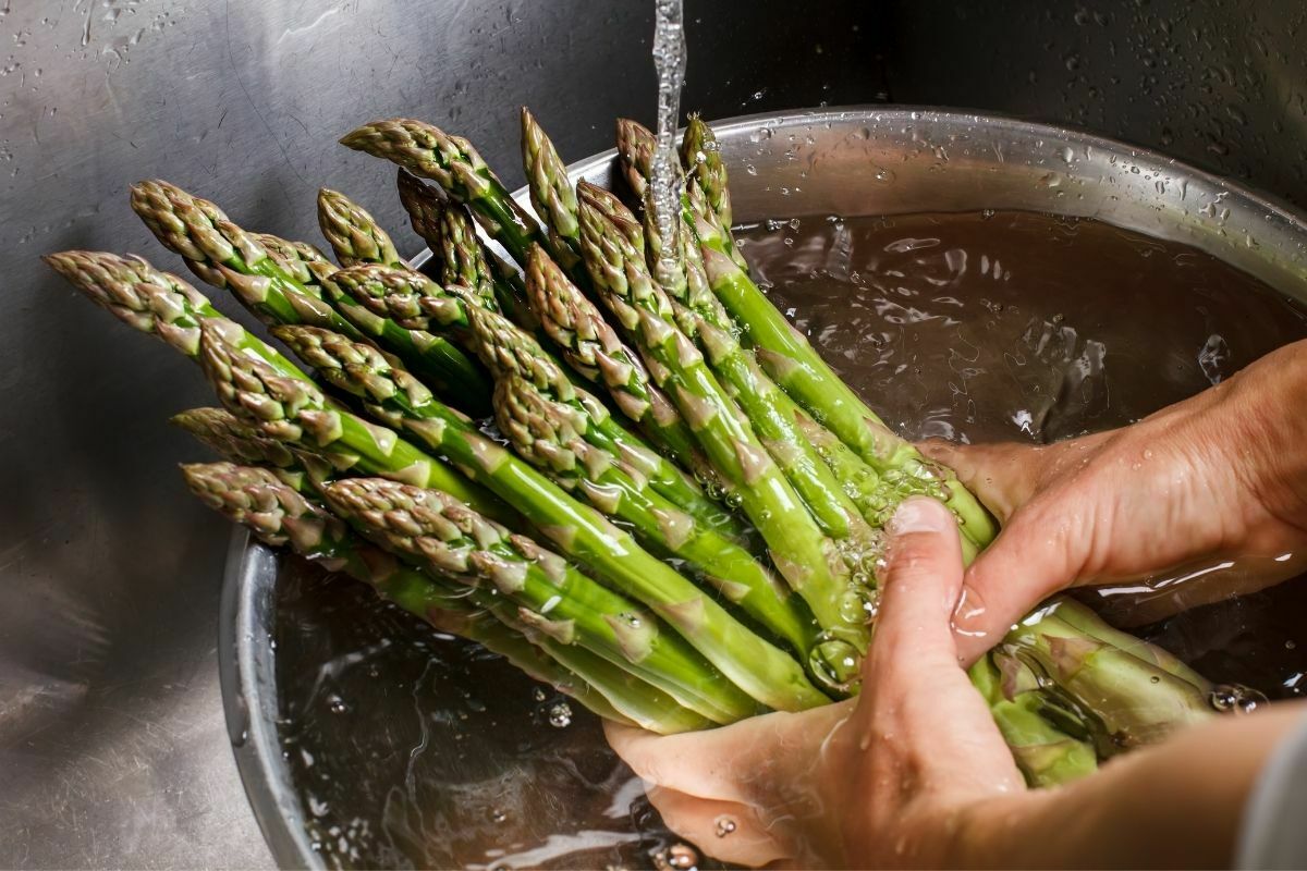 Man's hands washing asparagus