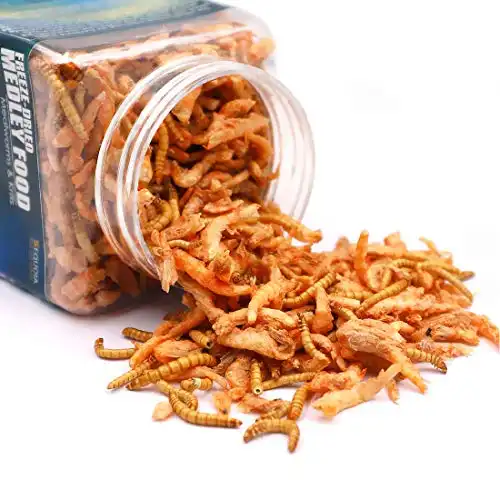 Aquatic turtle medley food - freeze dried shrimp & mealworms for aquatic turtle, beard dragon and other reptiles & amphibians
