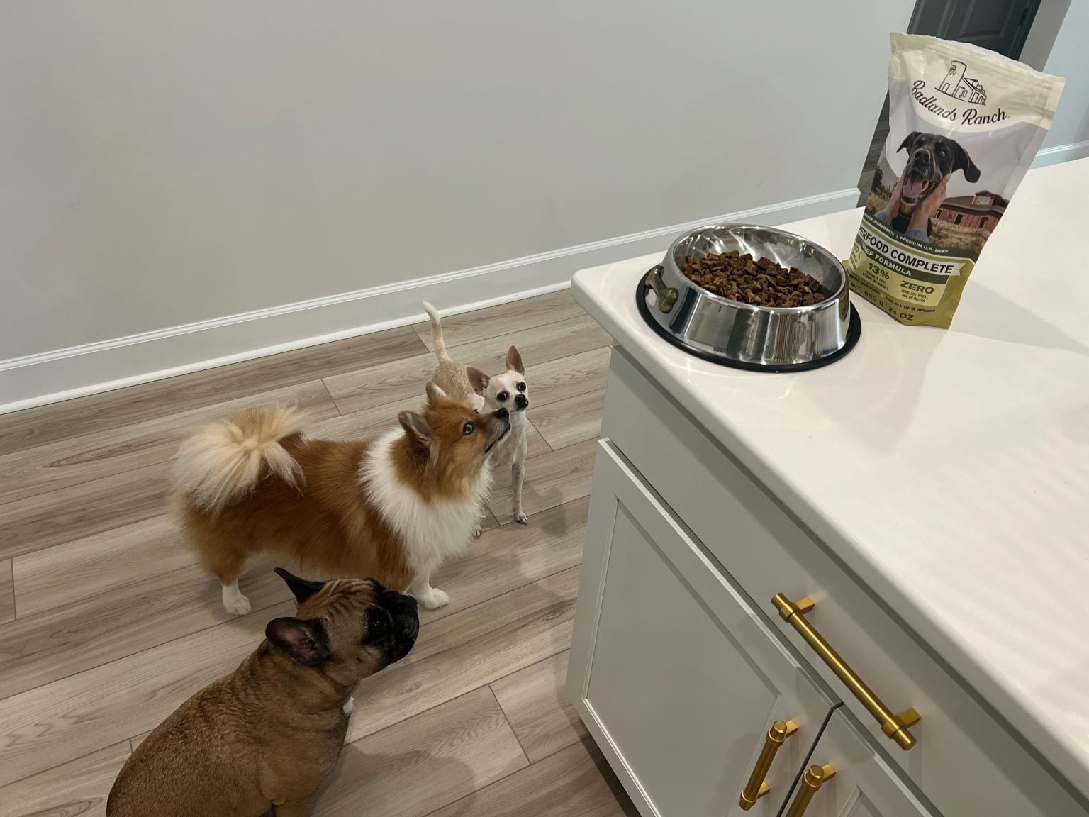 badlands-ranch-superfood-complete-dog-food-review-5-things-we-love