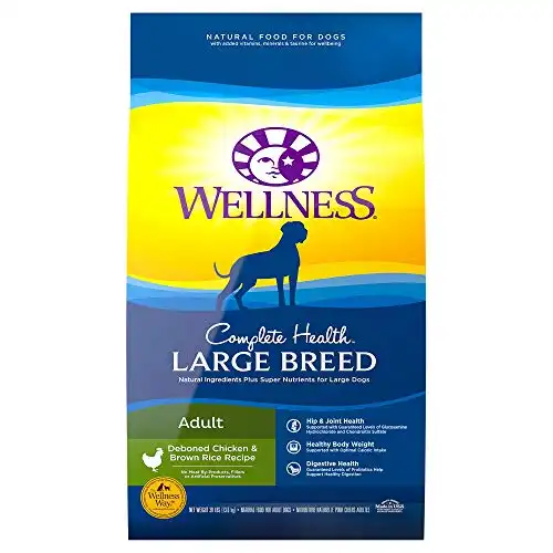 Wellness natural pet food complete health natural dry large breed dog food, chicken & rice, 30-pound bag