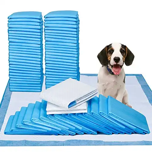 Pee pads- 100 count - 23" x 24" dog pads for puppy training pads