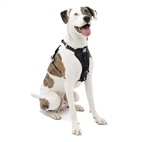 Kurgo dog harness | harness for dogs | medium