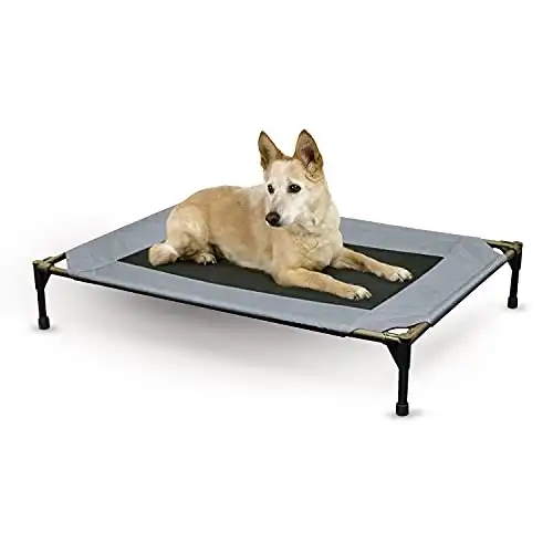 K&h pet products original pet cot elevated dog bed gray/black mesh