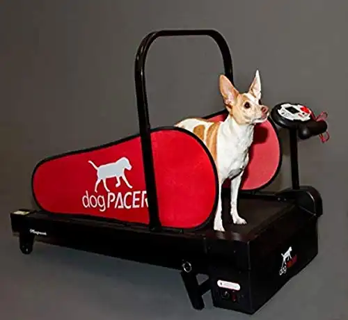 Dogpacer minipacer treadmill