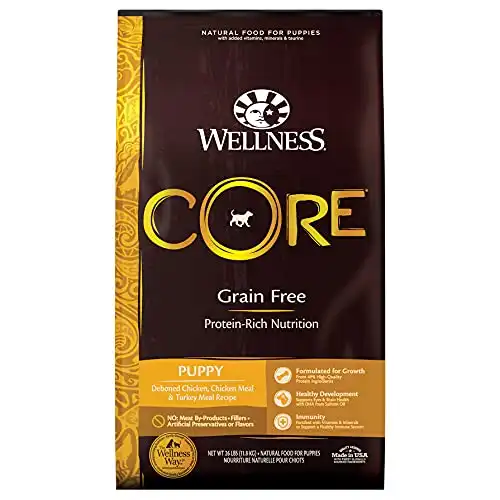 Wellness core natural grain free dry dog food, puppy