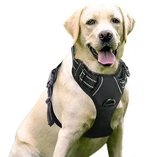 Rabbitgoo dog harness, no-pull pet harness with 2 leash clips, adjustable soft padded dog vest, reflective no-choke pet oxford vest