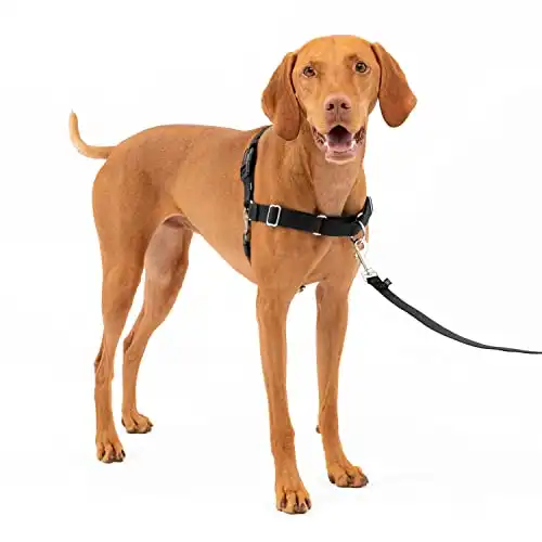 Petsafe easy walk dog harness, medium, black/silver