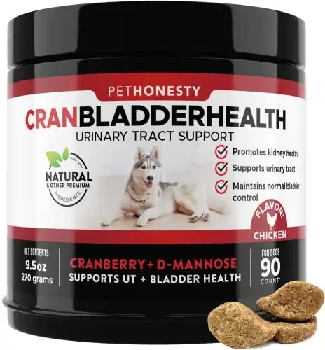 Pethonesty cranberry for dogs - soft chew supplements, kidney and bladder support, dog uti - urinary tract health ut incontinence, immune system support