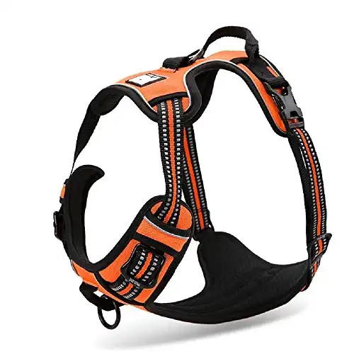 Chai's choice - premium outdoor adventure dog harness. 3m reflective vest