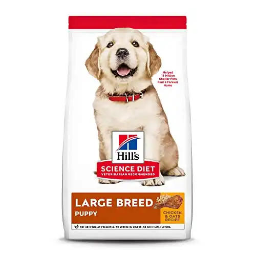 Hill's science diet dry dog food, puppy, large breeds, chicken meal and oats recipe