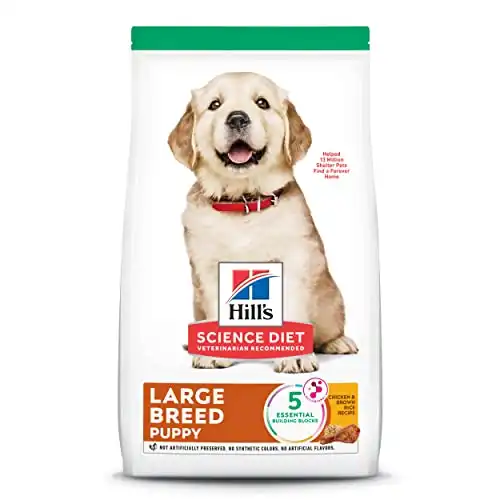 Hill's science diet puppy large breed dry dog food