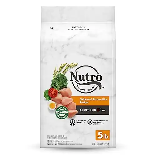 Nutro natural choice adult dry dog food