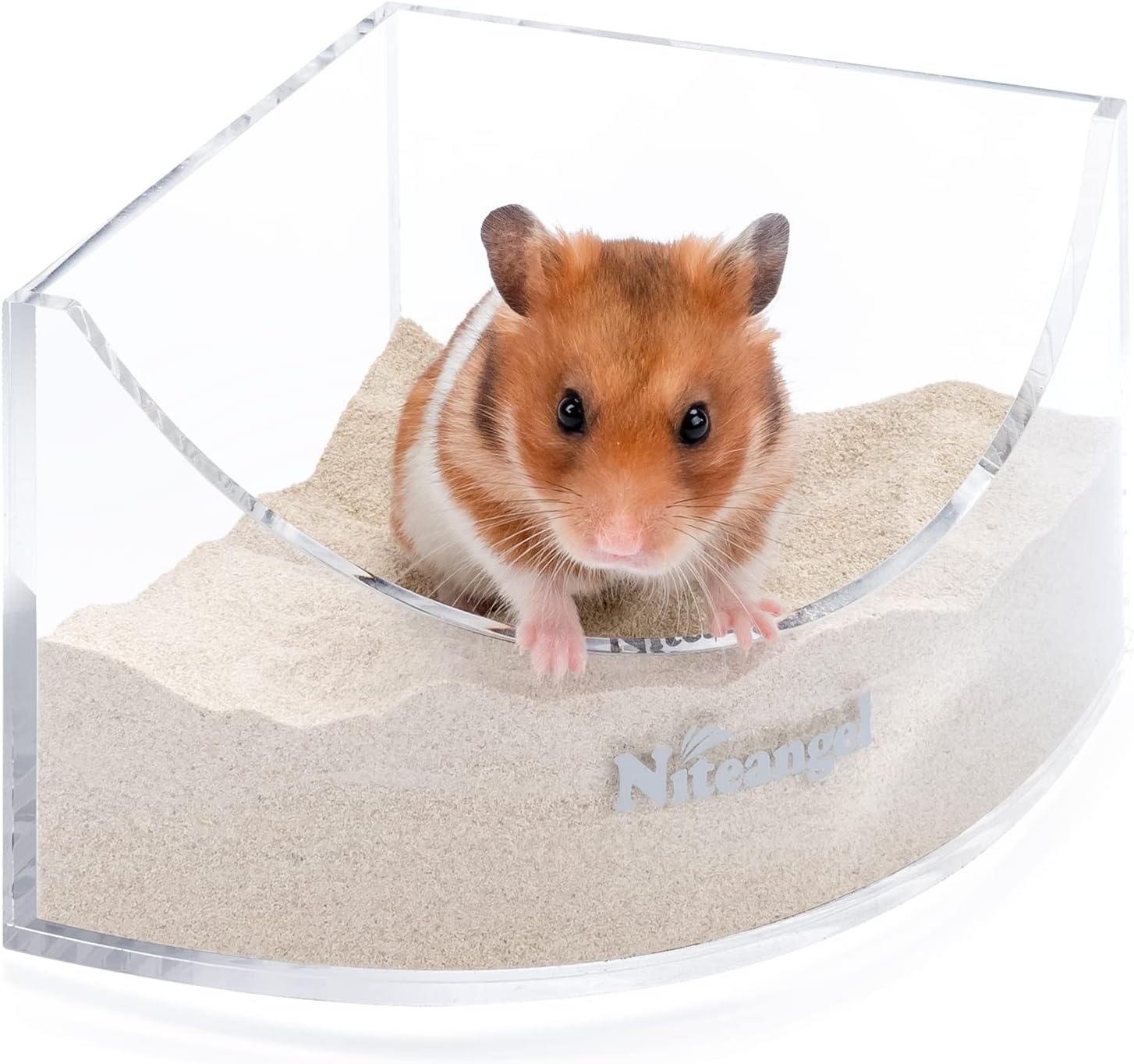 Hamster taking a sand bath