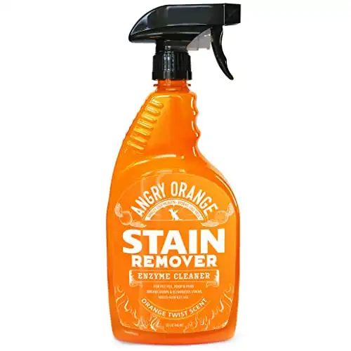 Angry orange stain remover – enzyme pet cleaner – dog & cat urine destroyer and stain remover