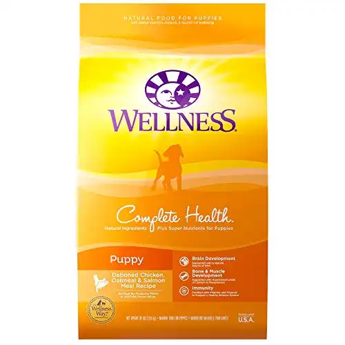 Wellness natural pet food complete health natural dry puppy food