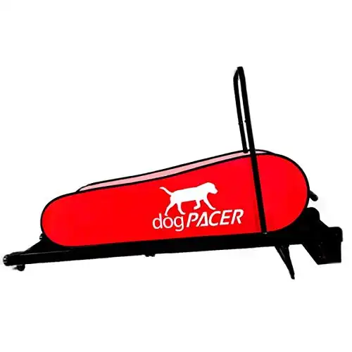 Dogpacer lf 3. 1 full size dog pacer treadmill