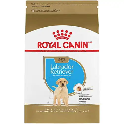 Royal canin breed health nutrition labrador retriever puppy dry dog food