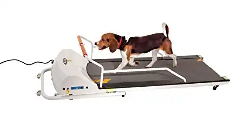 Gopet petrun pr720f dog treadmill indoor exercise/fitness kit
