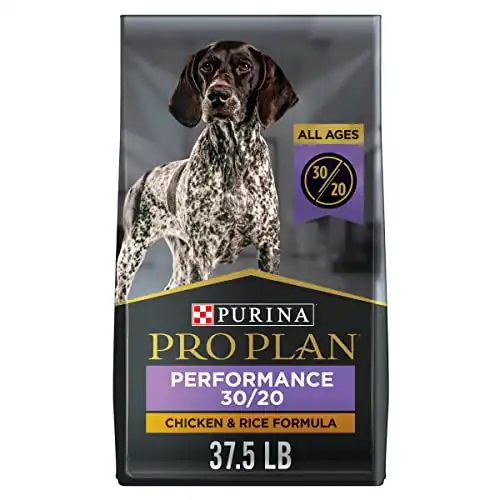 Purina pro plan performance - high protein dry dog food