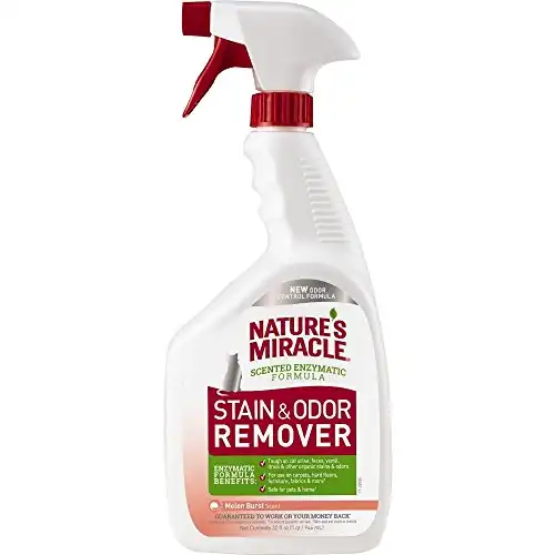 Nature s miracle stain and odor remover cat, odor control formula