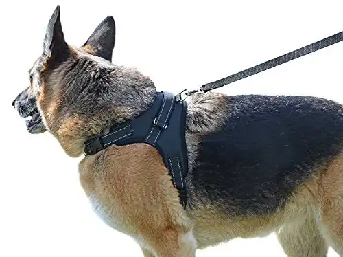 My pets america dog harness for large, medium or small dogs complete harness & leash set