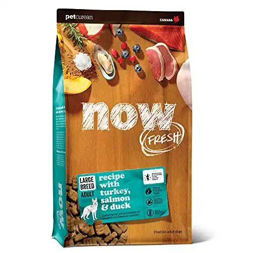 Now fresh grain free dog food, large breed adult dog food recipe