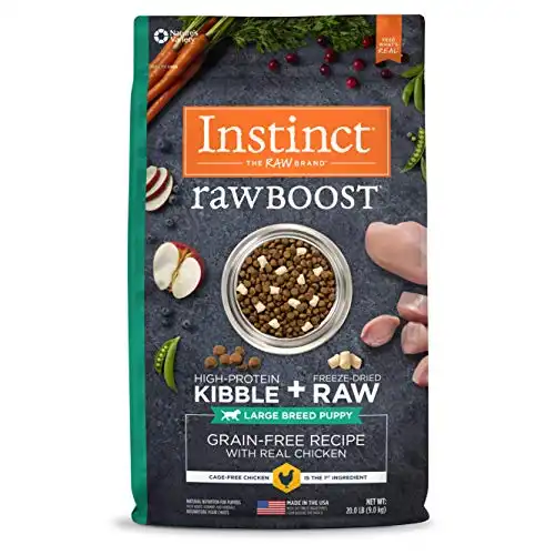 Instinct raw boost large breed puppy grain free recipe with real chicken natural dry dog food