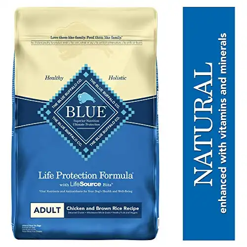 Blue buffalo life protection formula adult dog food - natural dry dog food for adult dogs