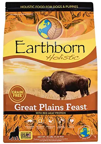 Earthborn holistic great plains feast grain-free dry dog food